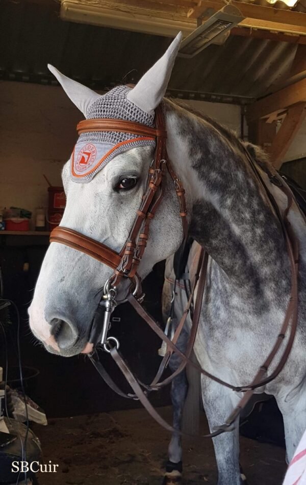 BRIDE DE DRESSAGE