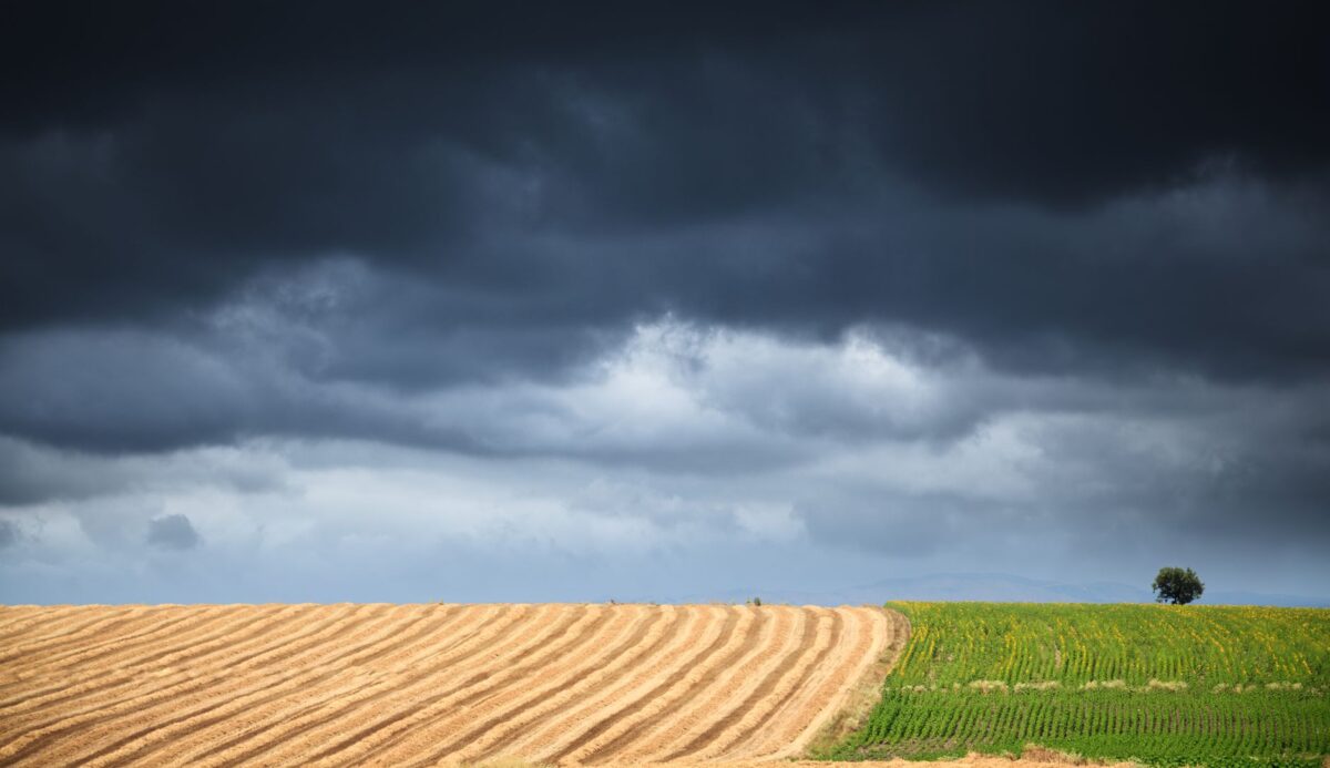 terre battue têtes météo transforme réellement